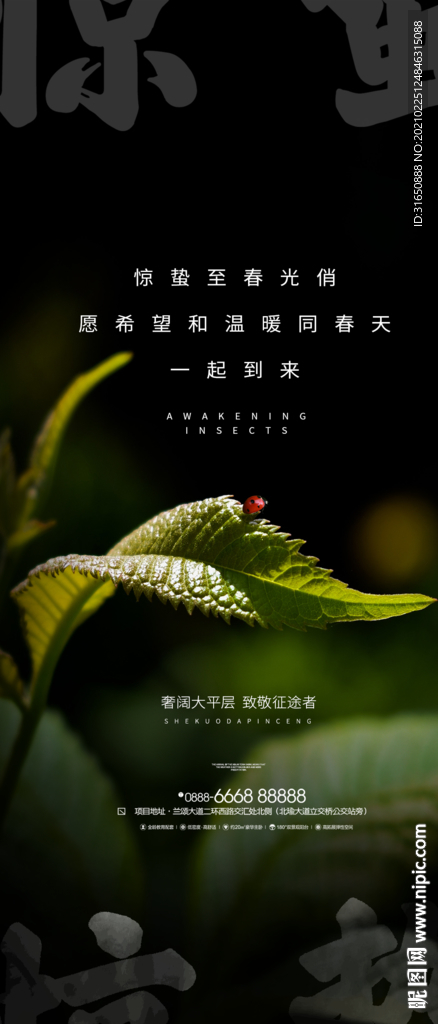 惊蛰