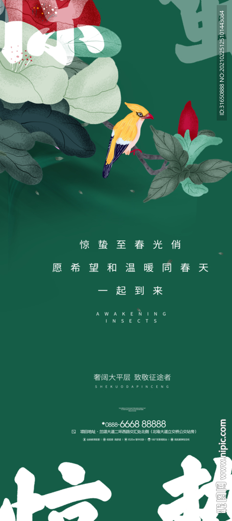 惊蛰