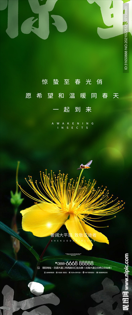 惊蛰
