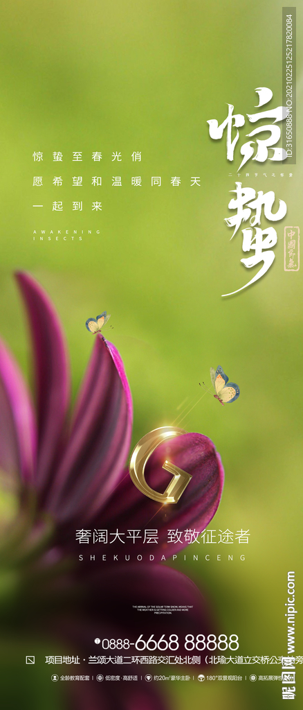 惊蛰