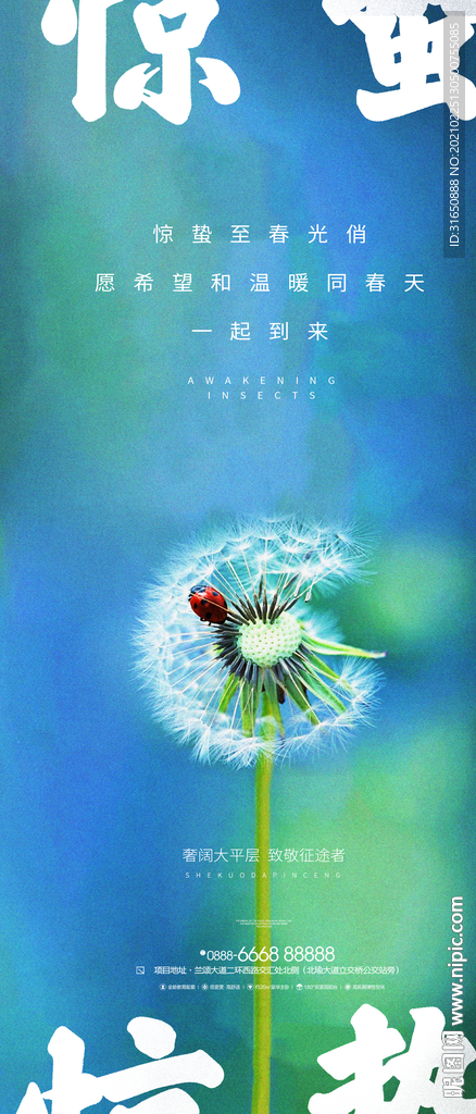 惊蛰
