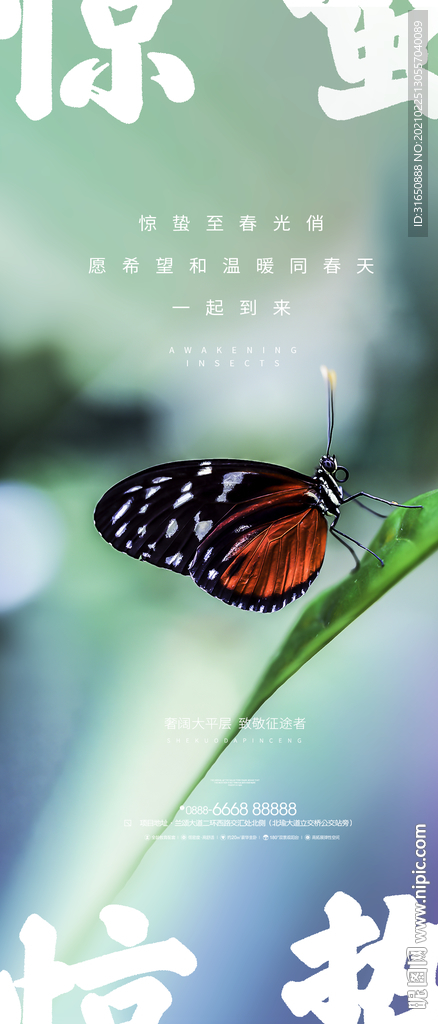 惊蛰