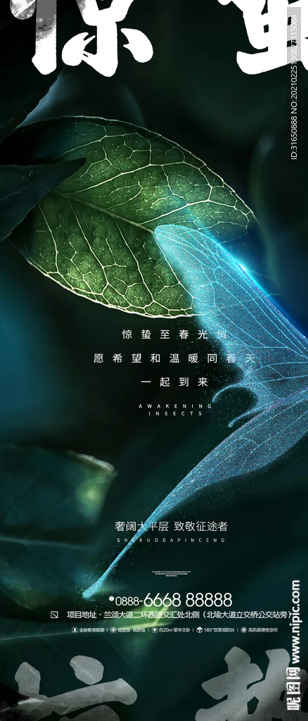 惊蛰