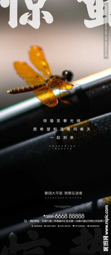 惊蛰