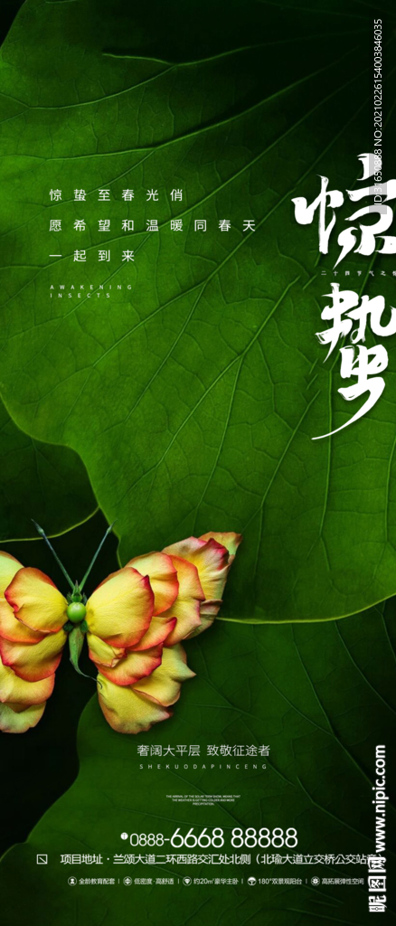 惊蛰