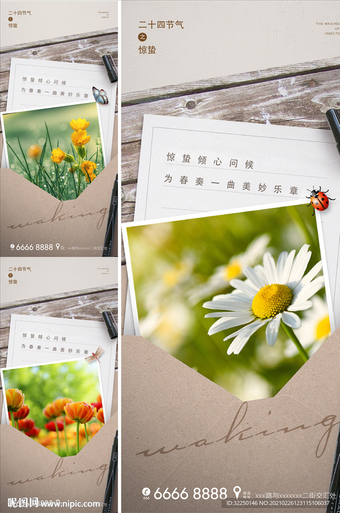 节气海报