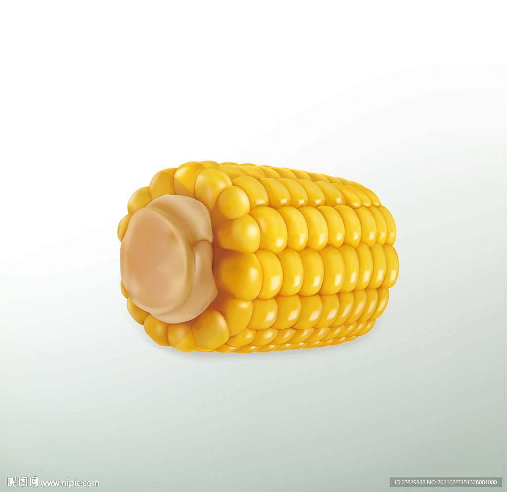 玉米棒素材-玉米棒模板-玉米棒图片免费下载-设图网