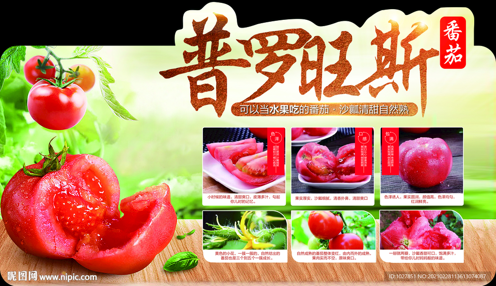 番茄 普罗旺斯