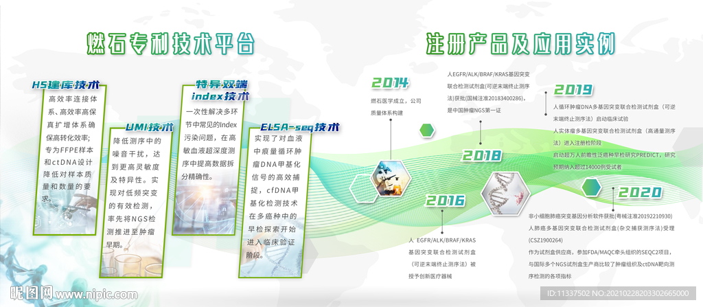 历史墙 企业背景板