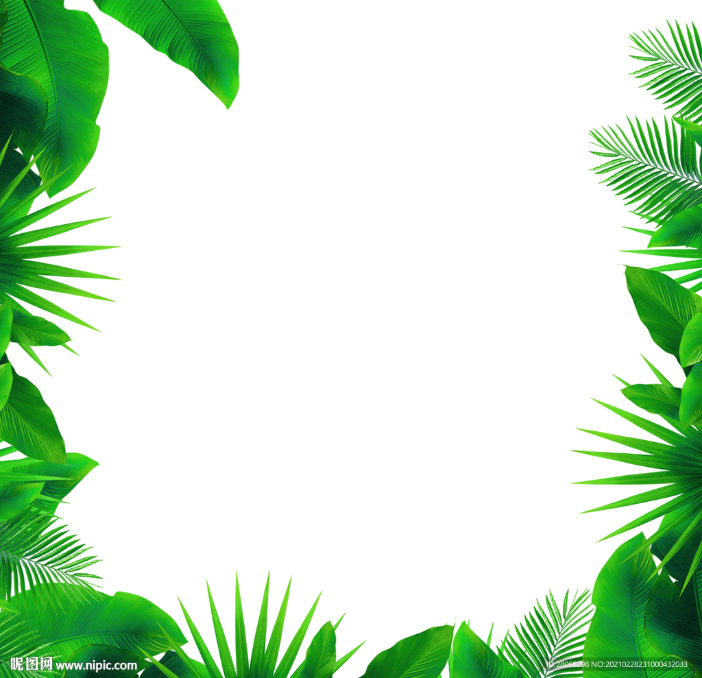 绿色树叶植物装饰元素