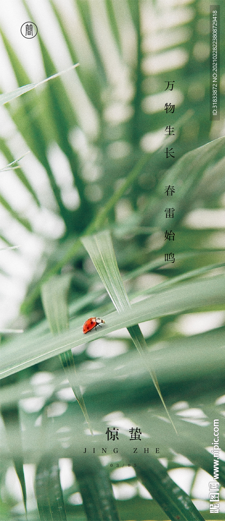 惊蛰