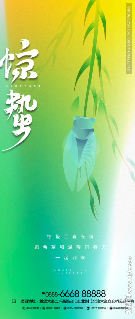 惊蛰