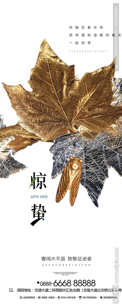 惊蛰