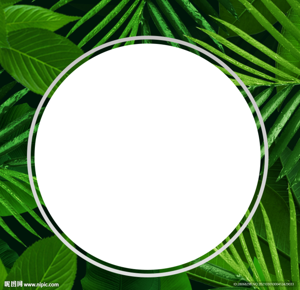 绿色插画植物背景