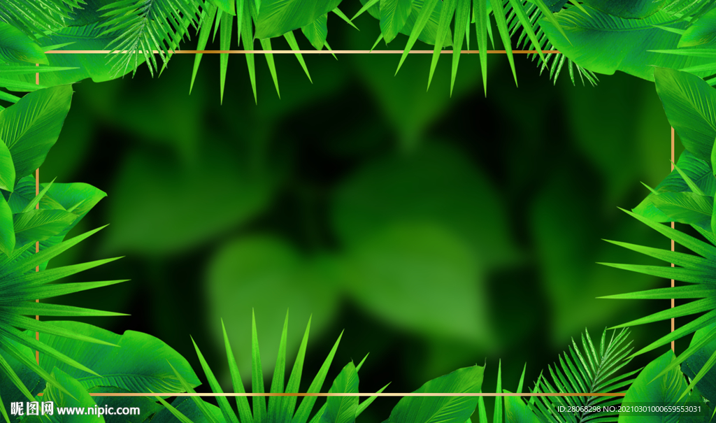 绿色装饰边框背景