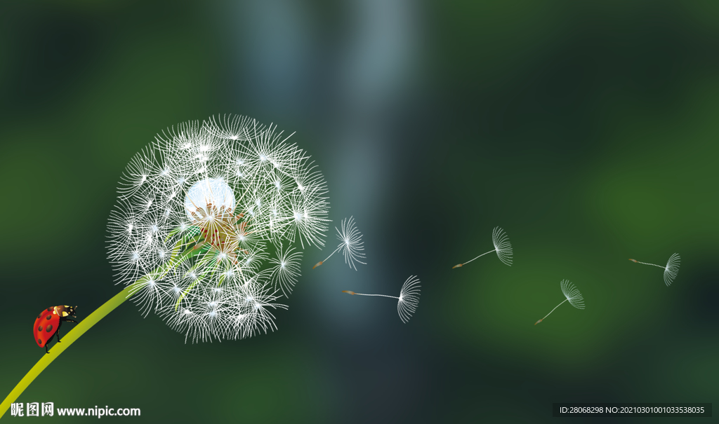 蒲公英装饰植物背景