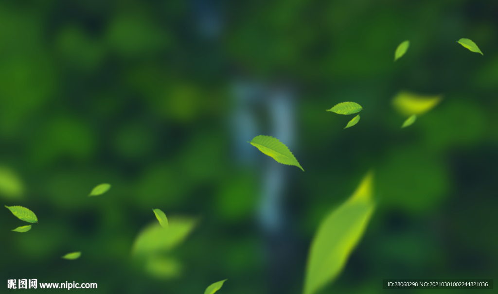 绿色装饰植物背景