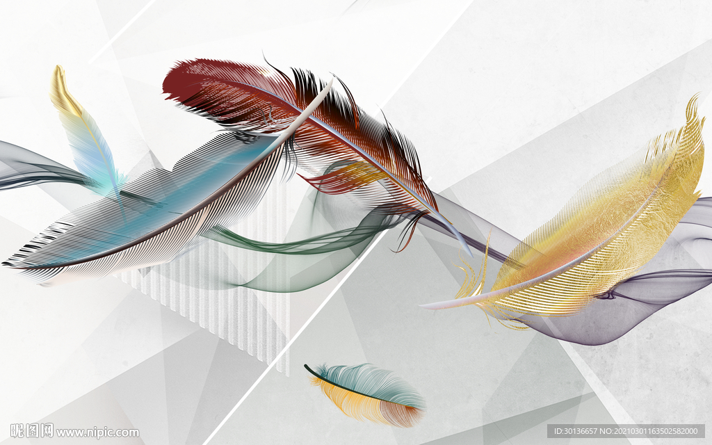 高清 新款羽毛框画 TIF分层