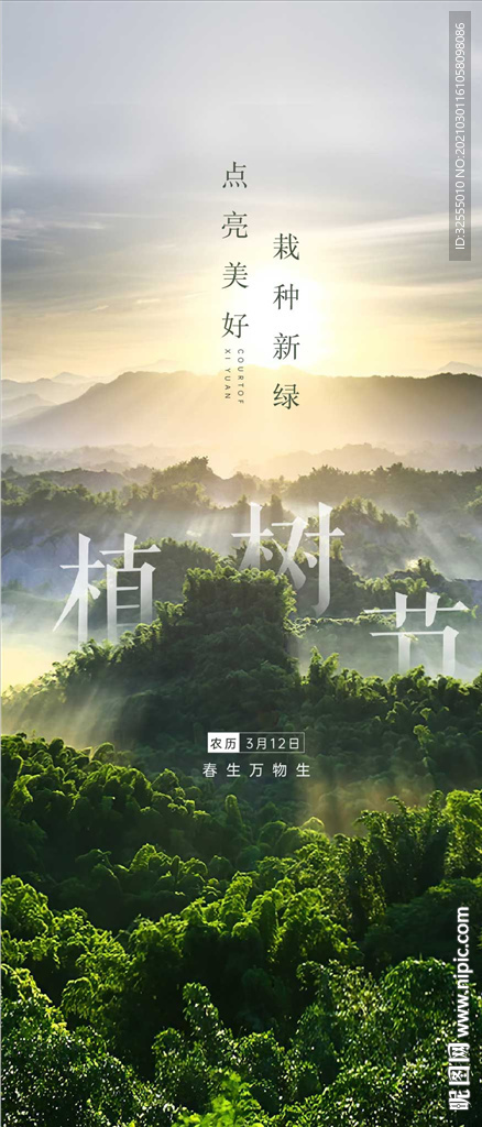 植树节