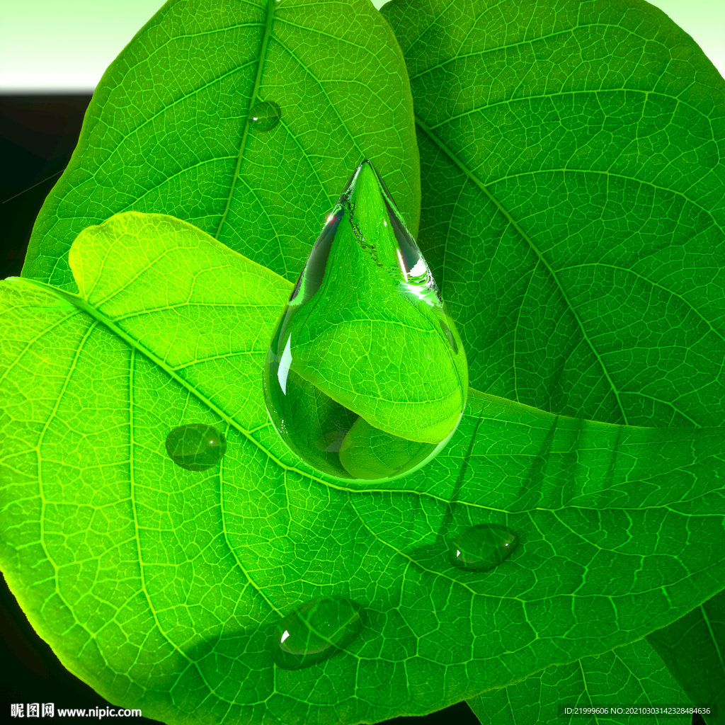 水珠