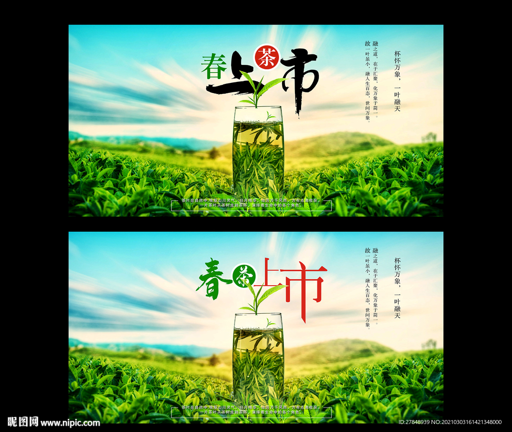 春茶上市