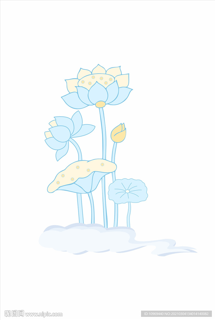 荷花