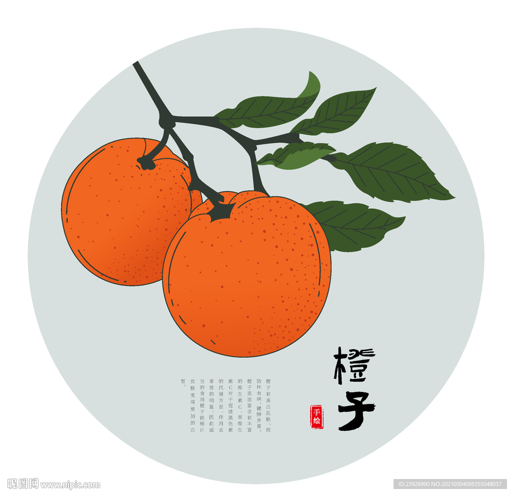橙子手绘