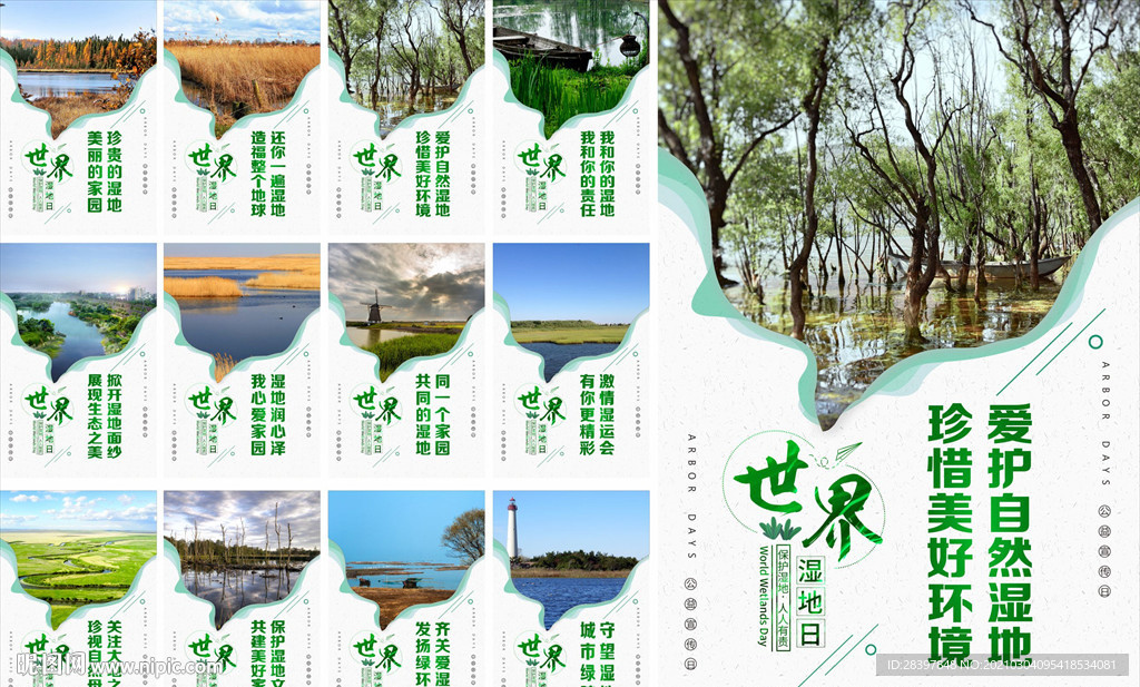 湿地保护