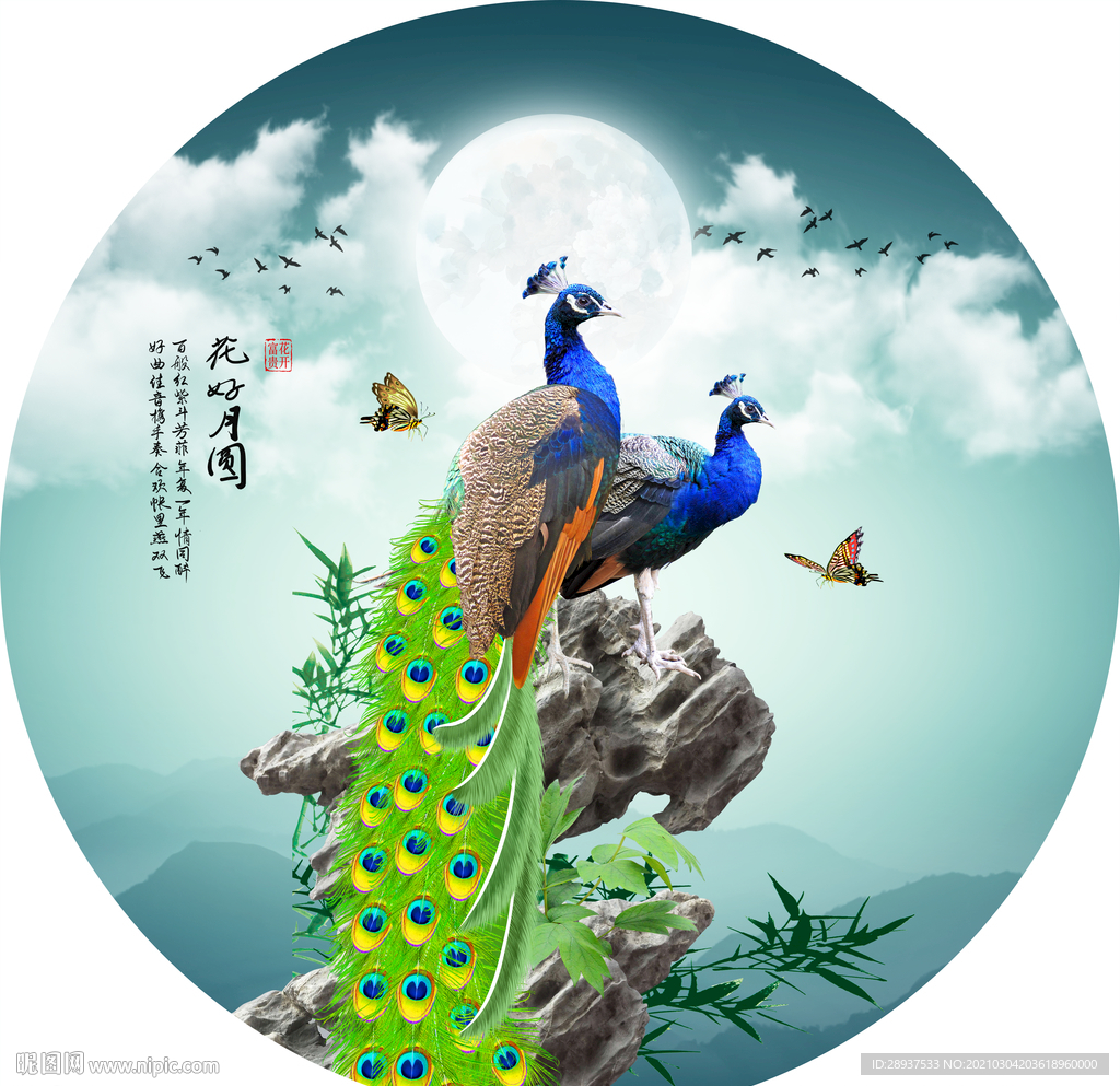孔雀