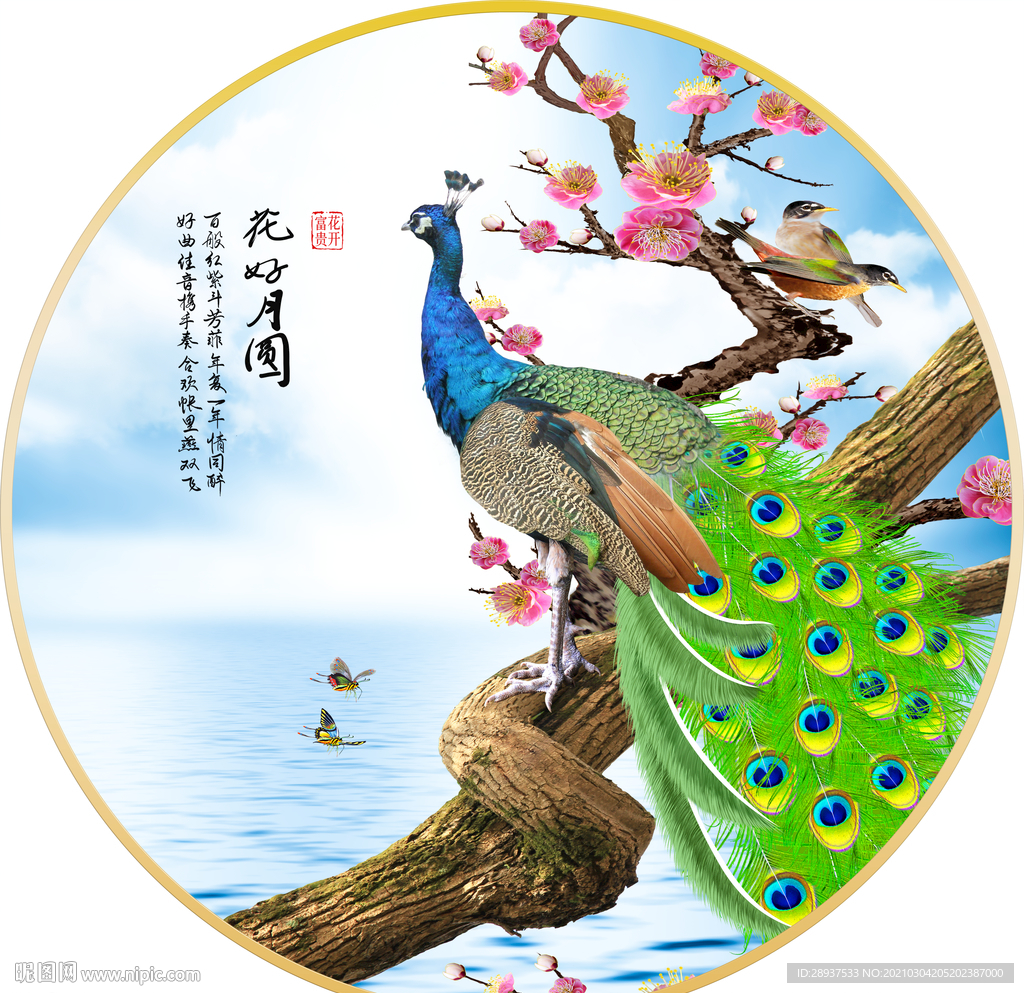 孔雀