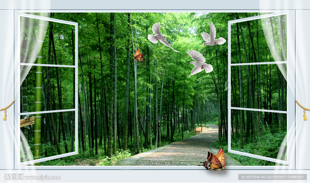 假窗竹林风景