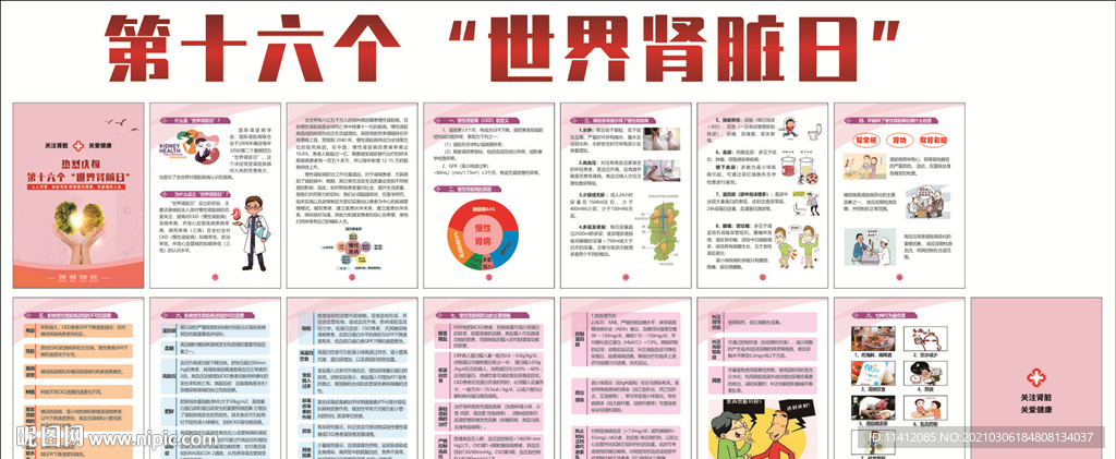 第十六个世界肾脏日