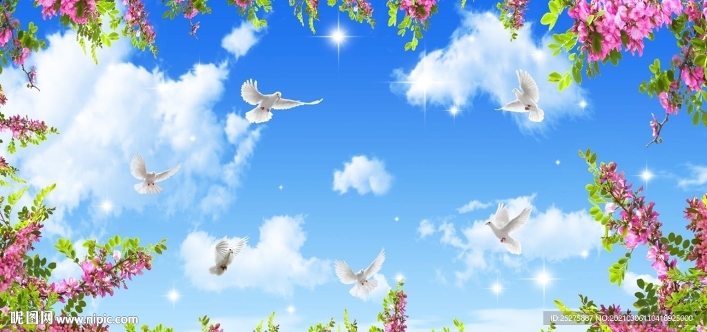 蓝天白云鸽子