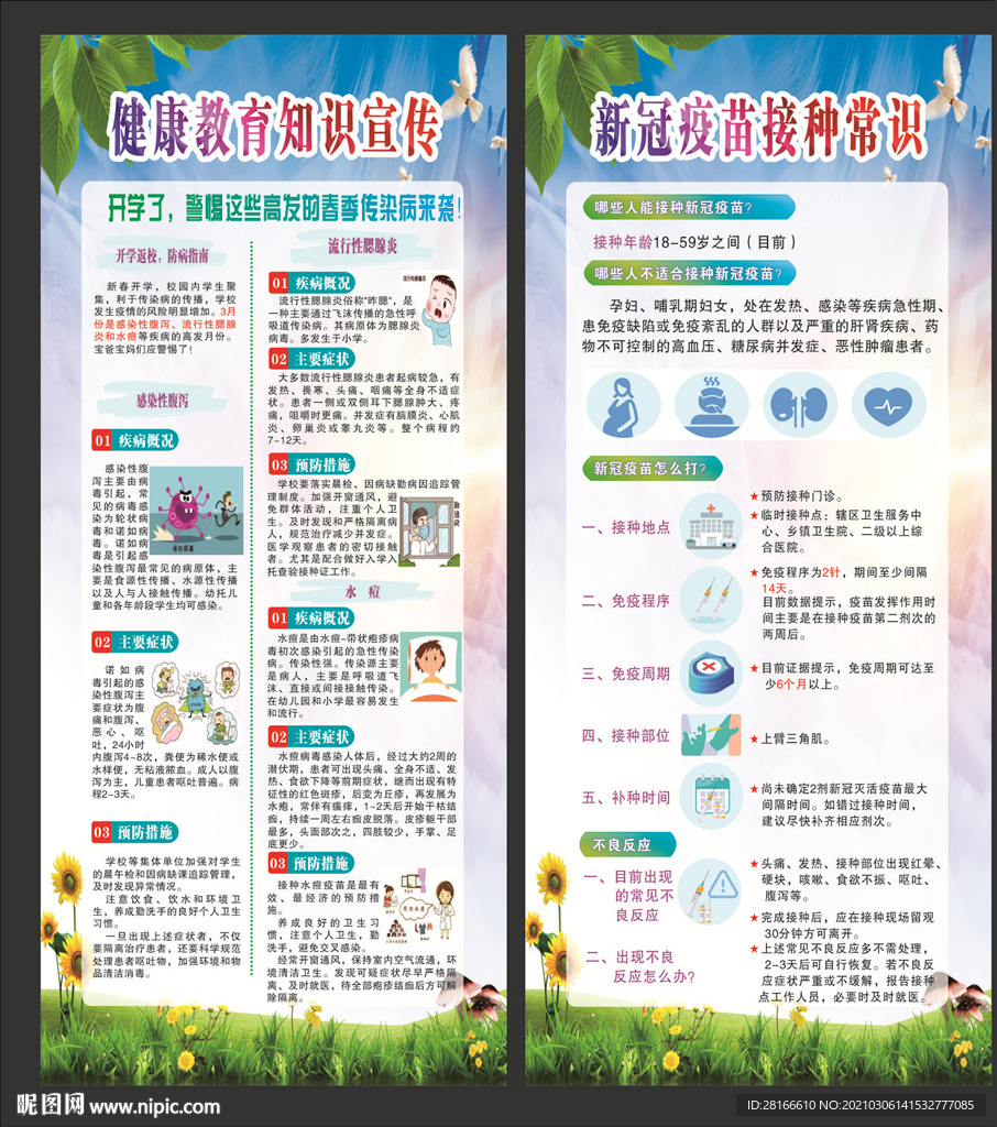 健康教育知识展架 展板