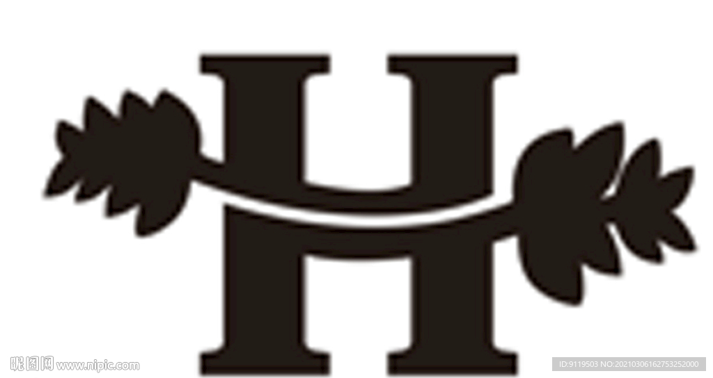 H字母