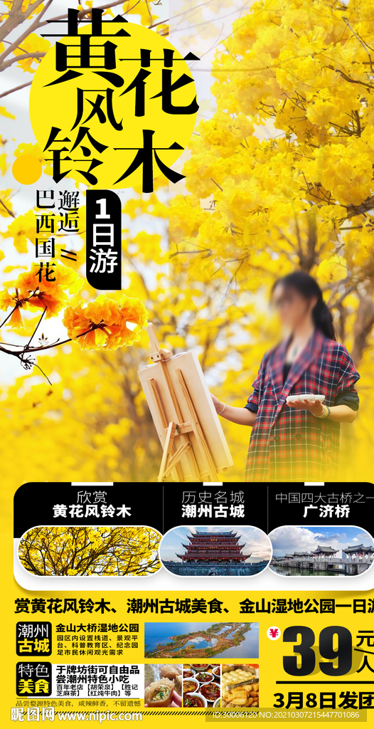 黄花铃木黄色花海油菜花旅游海报