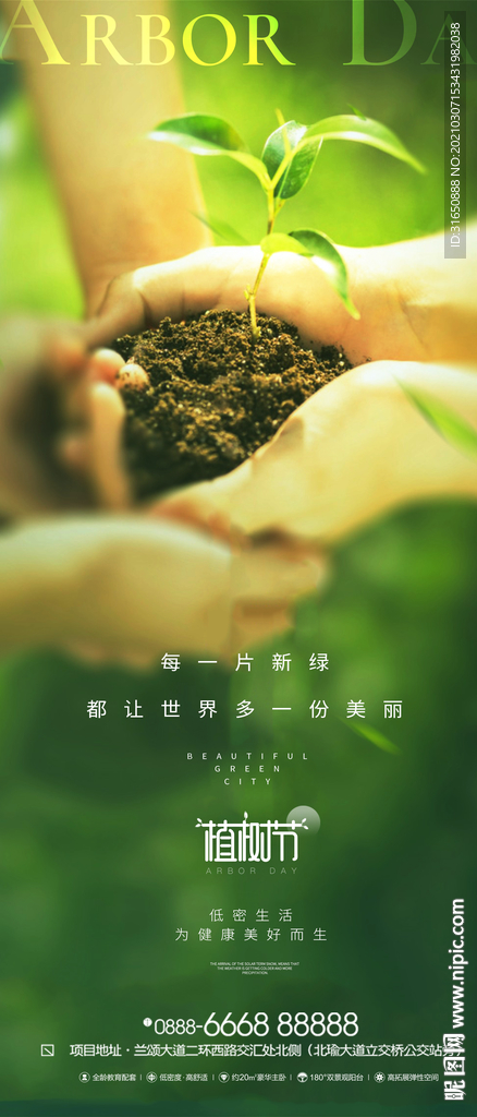 植树节