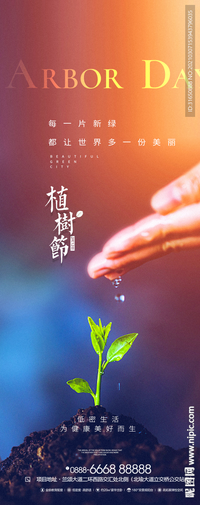 植树节