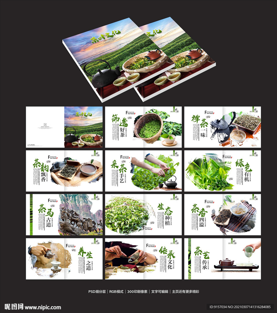 茶叶画册