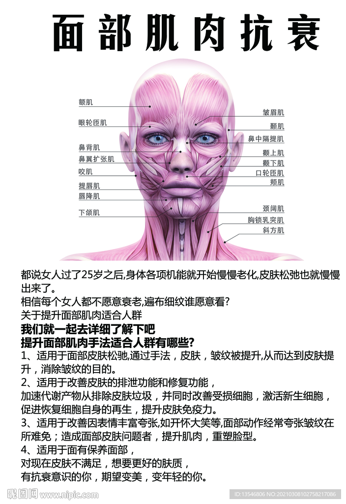 面部肌肉抗衰 徒手整形 整骨