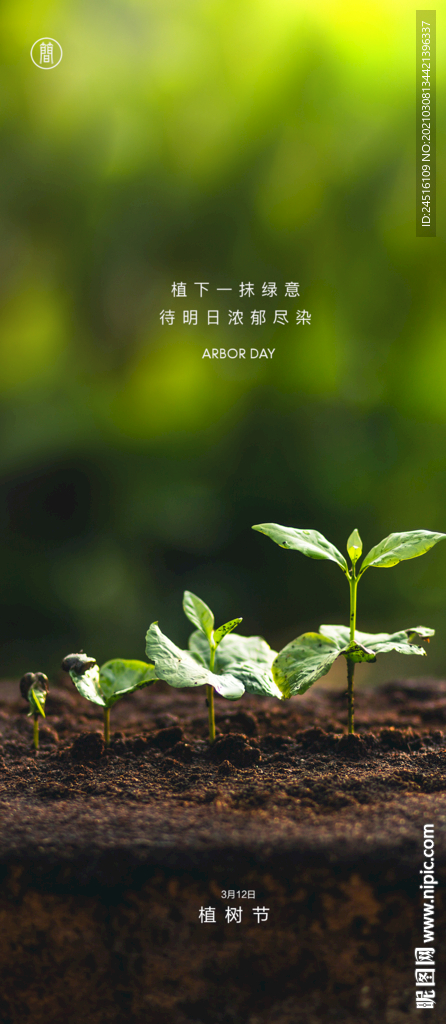 植树节