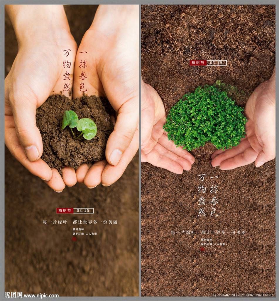 植树传统节日