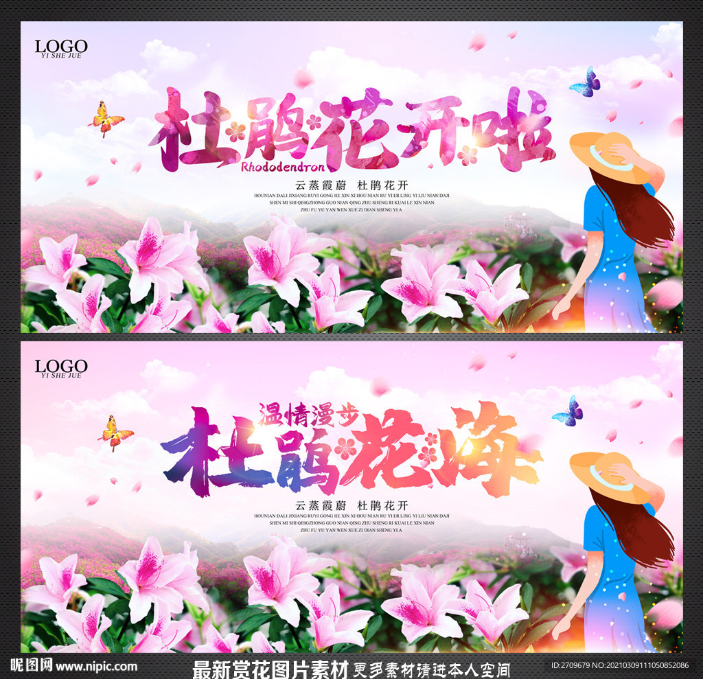 杜鹃花