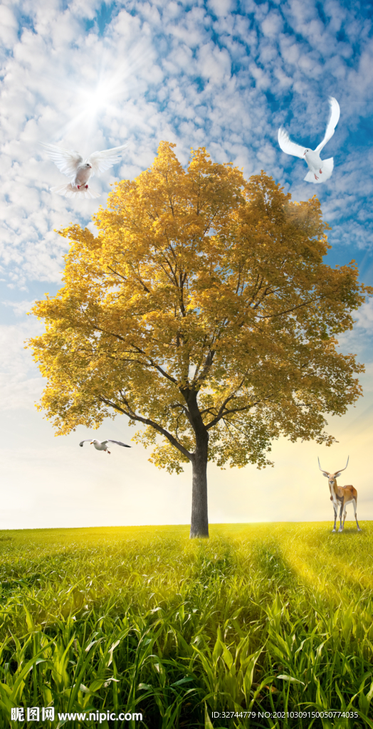 梅花鹿大树玄关