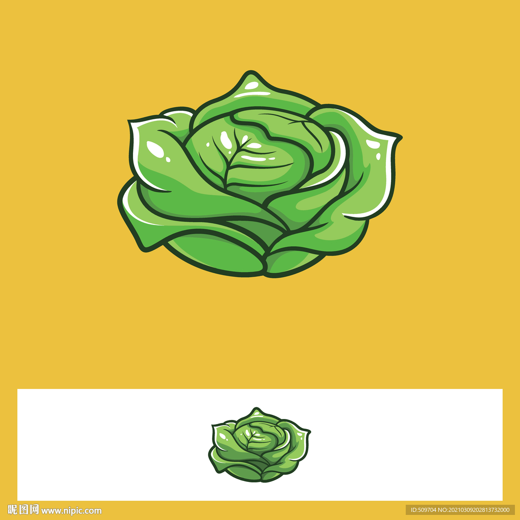 花菜蔬菜包菜手绘素材