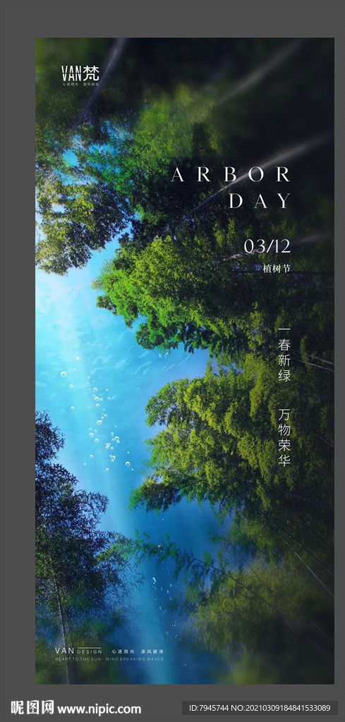植树节