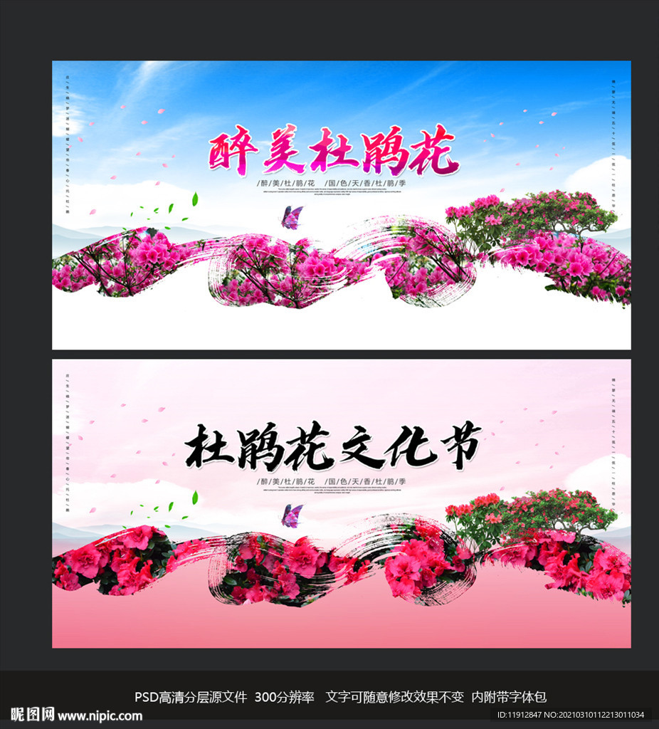 杜鹃花