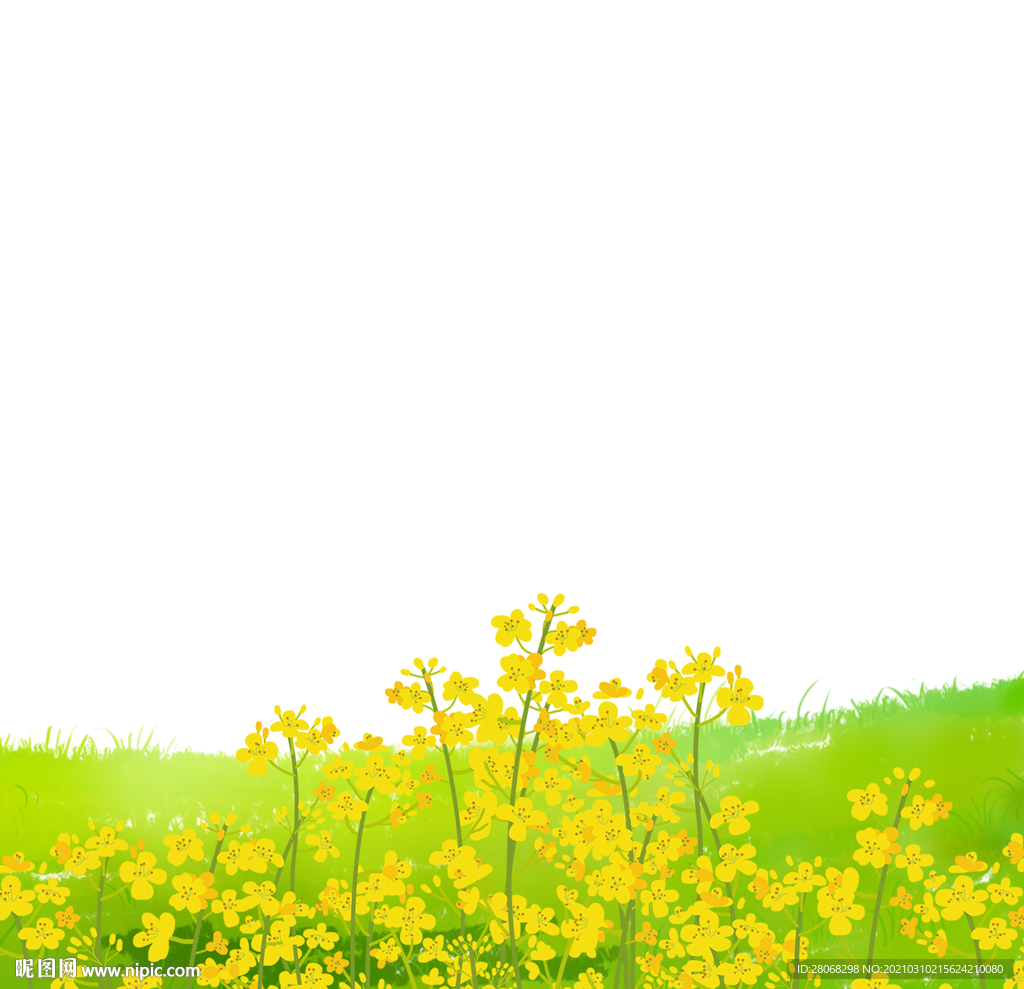 金色油菜花元素