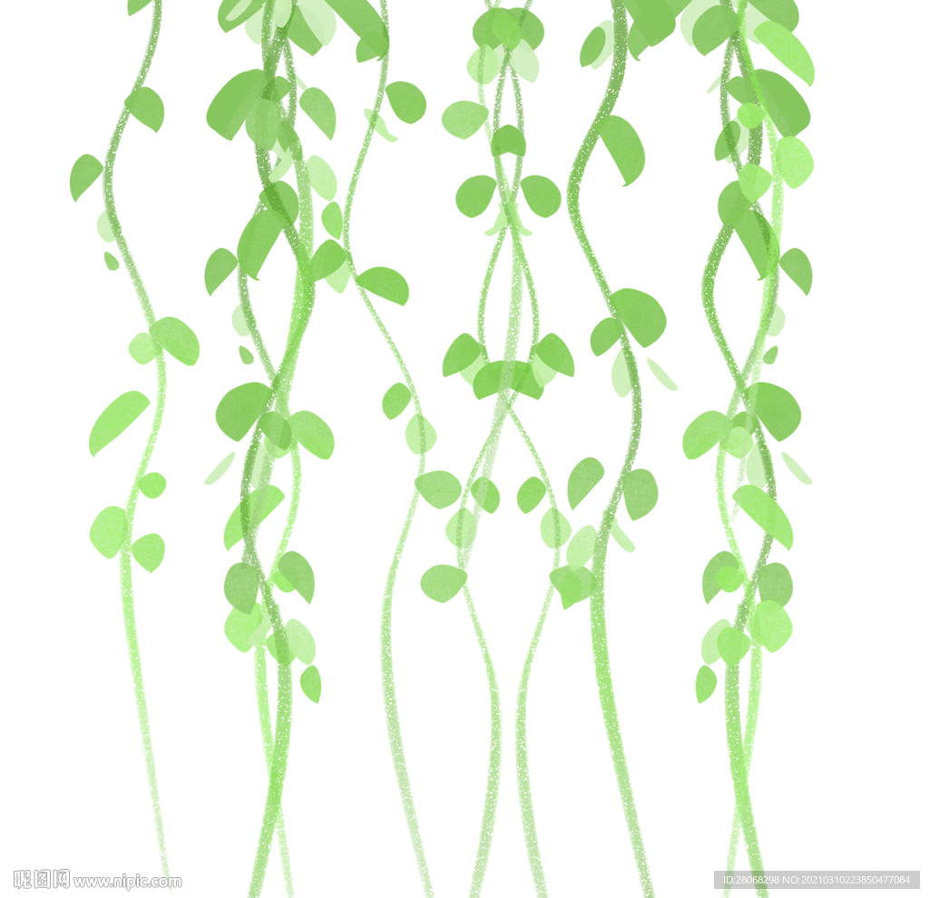 植物装饰绿色树叶元素