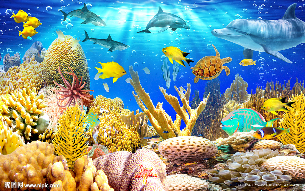 珊瑚海底世界风景画
